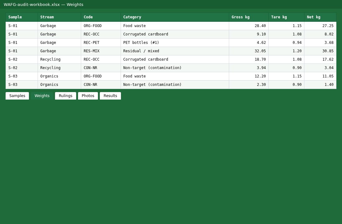 Audit workbook spreadsheet preview
